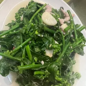 大豆苗